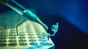 Photo of a dropper dropping liquid into a test tube. Symbolizes gene editing.