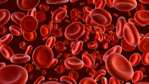 Red blood cells.