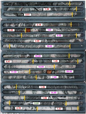 Figure 4 – South Junction Drill Hole 24SJDD029 showing the individual gold assay results (g/m) for the 