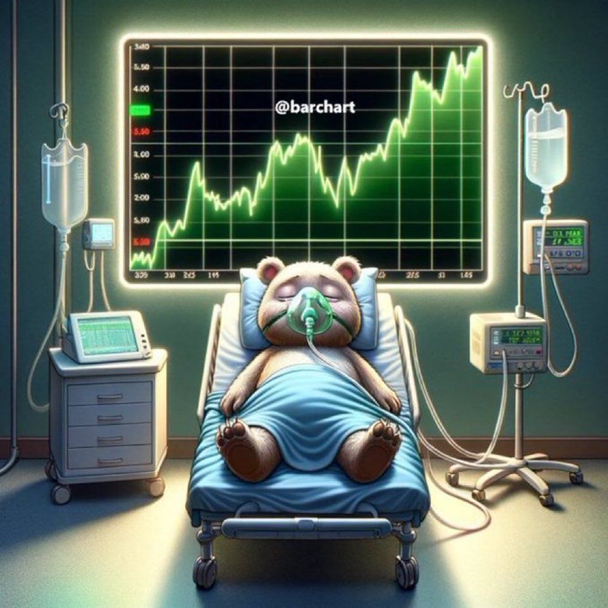 A graphic of a bear on life support in a hospital. Behind him is an unyielding bullish stock chart.