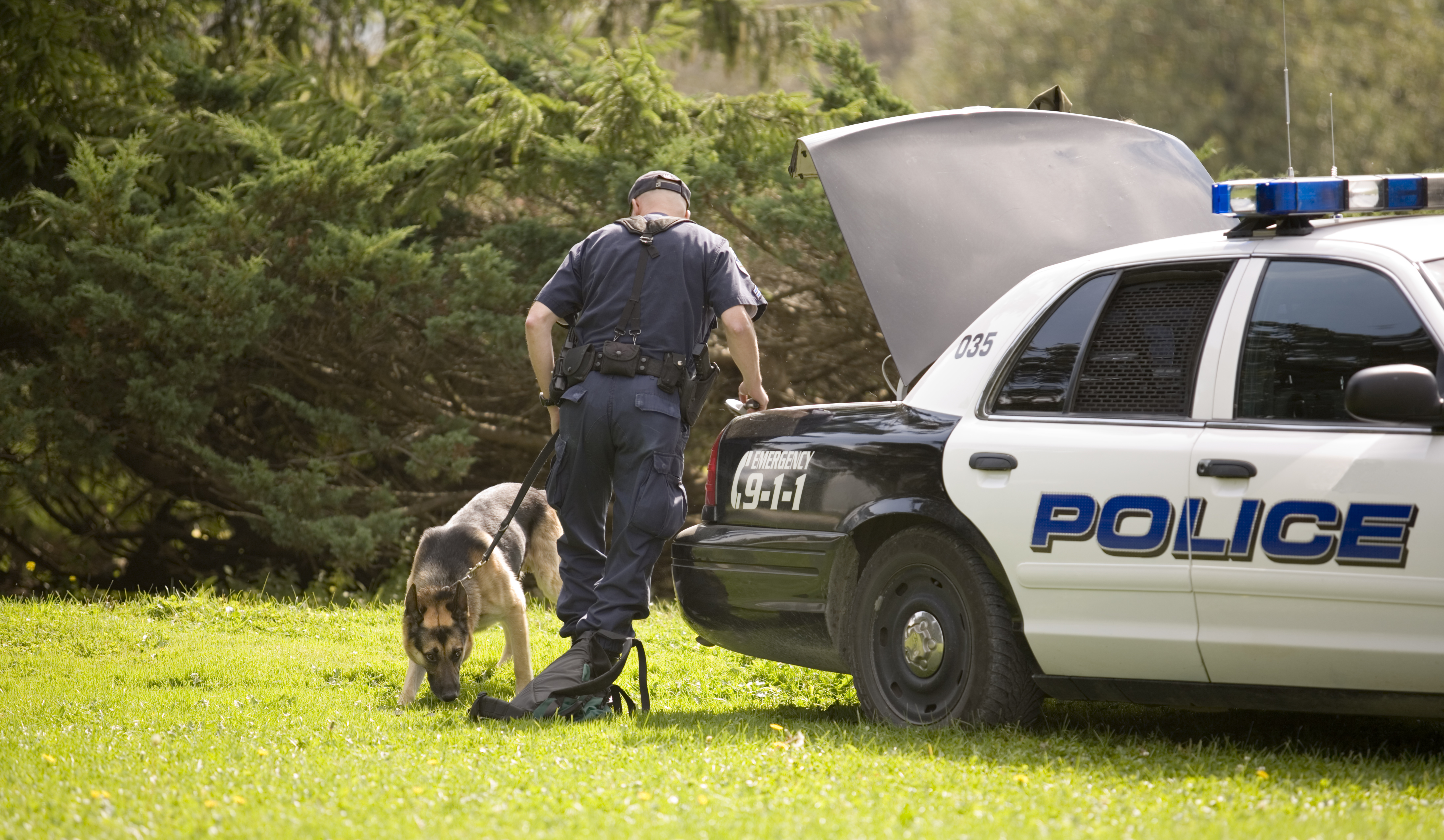 Police officer and dog search for clues.